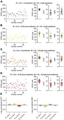 Variance analysis as a method to predict the locus of plasticity at populations of non-uniform synapses